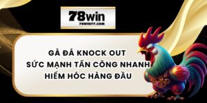 Gà đá knock out